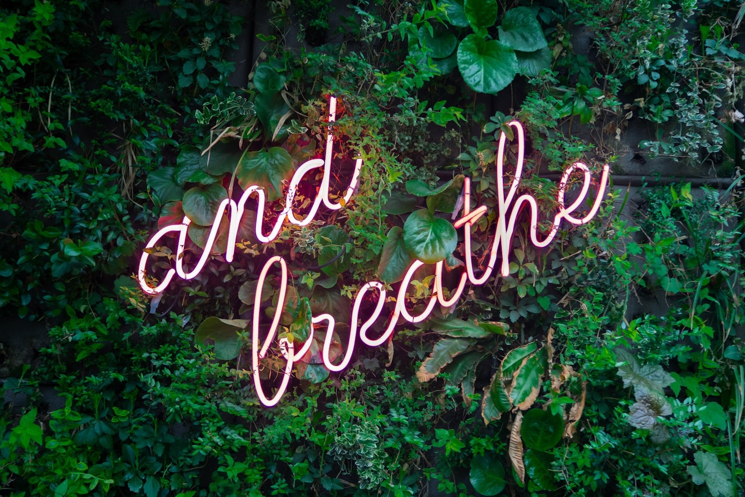 The Connection Between Mindfulness and Productivity